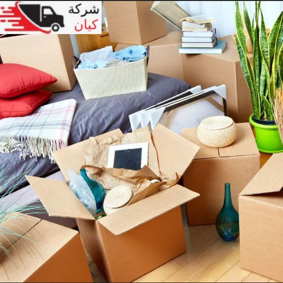 شركة نقل عفش ببيشة عمالة فلبينية